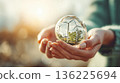 person holds glass sphere reflecting wind turbines and greenery, symbolizing renewable energy and environmental conservation. image conveys sense of hope and sustainability 136225694
