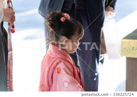 一位女孩參拜神社慶祝七五三節 136225724