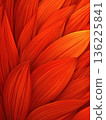 紅色和橙色抽象流動曲線紋理背景 136225841
