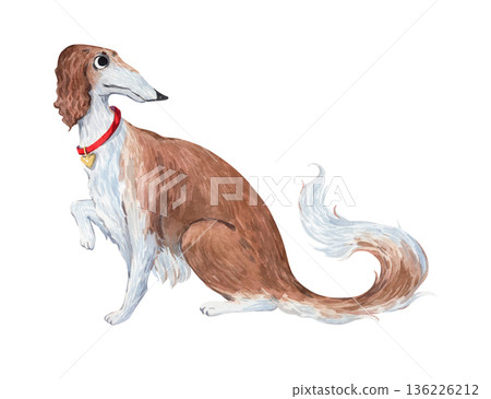 A watercolor illustration of a Russian greyhound A watercolor illustration of a Russian greyhound 136226212