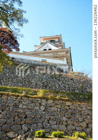 Kochi castle castle tower Kochi castle castle tower 136226462