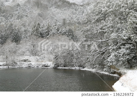 Sendatsu Pond 1 136226972