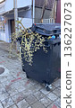 Urban trash bin overflowing with palm fronds, captured in an alleyway with paved tiles and nearby residential buildings.  136227073