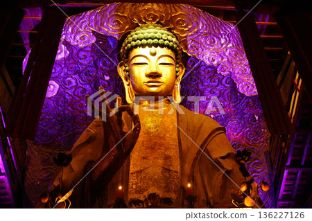 Gifu Great Buddha - Gifu Light Story Light-up Gifu Great Buddha - Gifu Light Story Light-up 136227126
