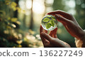 person gently holds glass sphere containing green leaves, symbolizing nature and sustainability, with blurred forest background. sunlight filters through trees, creating serene atmosphere 136227249
