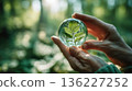 person holds glass sphere with green leaf inside, symbolizing nature conservation and environmental awareness in lush forest setting 136227252