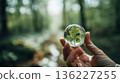 hand holds glass sphere with green leaf inside, set against blurred forest background, symbolizing nature and conservation. sunlight filters through trees, creating serene atmosphere 136227255