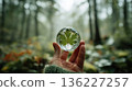 hand holds glass sphere with green leaf inside, set against blurred forest background, creating serene and mystical atmosphere 136227257