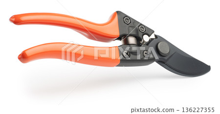 Gardening tool equipment. Single steel garden scissors for pruning plants and flowers. Pruning of a vineyard or fruit tree. isolated on white 136227355