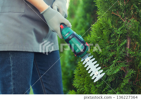 hand trimming bush with electric shears in garden 136227364