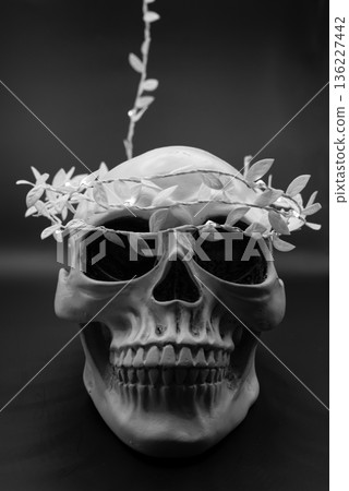 Black and White Skull with Leaf Crown on Dark Background Black and White Skull with Leaf Crown on Dark Background 136227442