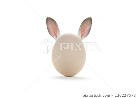 rabbit hidden behind egg with protruding ears isolated on white background rabbit hidden behind egg with protruding ears isolated on white background 136227578