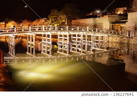 The fantastical Somei-Yoshino cherry blossoms and the illuminated Tottori Castle ruins 136227641