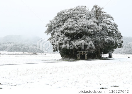Obara Shrine 4 136227642