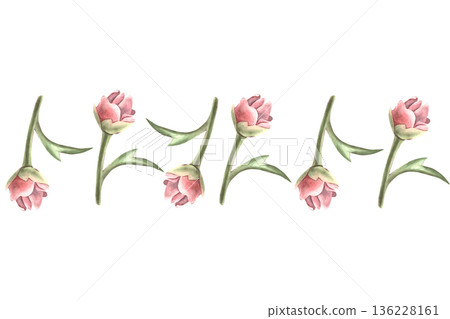 Seamless border with delicate peony buds. Hand-painted watercolor illustration isolated on white for invitations, posters, headers, packaging, stationery, branding, botanical, romantic design projects Seamless border with delicate peony buds. Hand-painted watercolor illustration isolated on white for invitations, posters, headers, packaging, stationery, branding, botanical, romantic design projects 136228161
