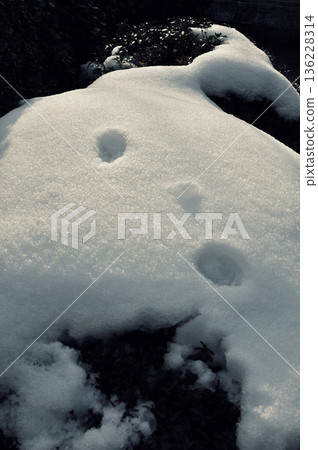 The ice sparkles on the snow, my heart melts and winter is gentle. 136228314