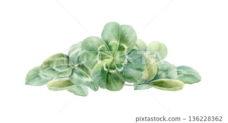 Triangular clover sprig featuring lucky four leaf clover,celebrating Irish traditional Saint Patricks Day.Watercolor for holiday designs,greeting cards,cultural holidays,celtic weddings 136228362
