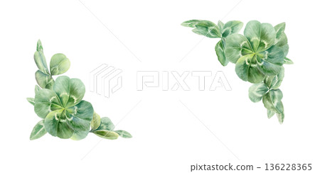Corner frame of rare four leafs clovers,iconic symbol of luck and Saint Patricks Day.Watercolor vibrant shamrocks template for holiday cards,Irish designs,festive spring branding,celtic wedding Corner frame of rare four leafs clovers,iconic symbol of luck and Saint Patricks Day.Watercolor vibrant shamrocks template for holiday cards,Irish designs,festive spring branding,celtic wedding 136228365