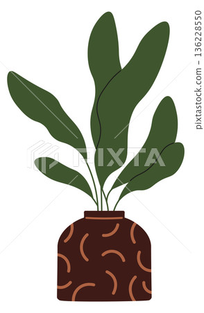 Green botanical decoration. Home garden color drawing Green botanical decoration. Home garden color drawing 136228550