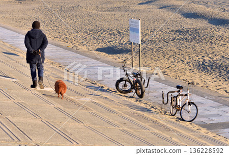 一名男子沿著久沼海岸步道遛狗。 136228592