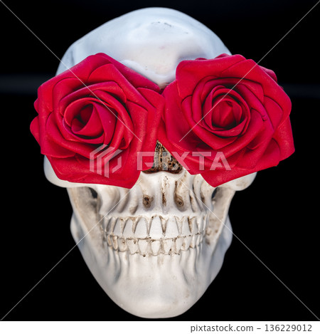 Symbolic Skull with Red Roses Covering Eyes on Black Background Symbolic Skull with Red Roses Covering Eyes on Black Background 136229012