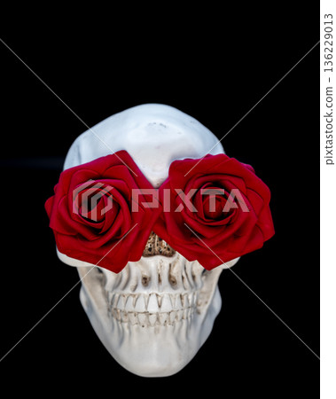 Symbolic Skull with Red Roses Covering Eyes on Black Background Symbolic Skull with Red Roses Covering Eyes on Black Background 136229013