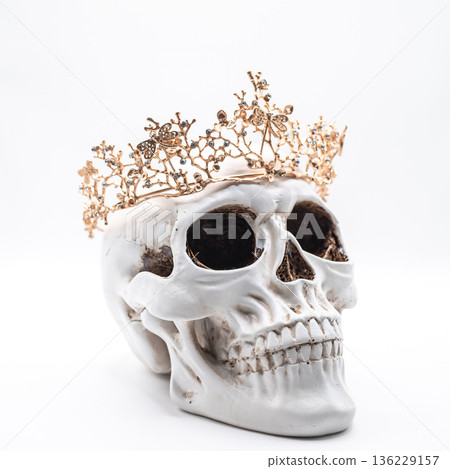 Human Skull with Gold Crown on White Background Human Skull with Gold Crown on White Background 136229157