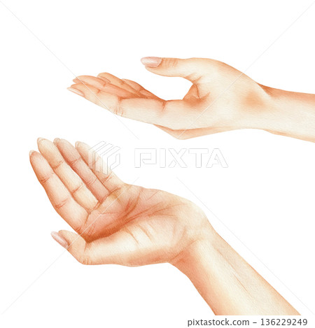 Two hands turned palms up. Women's hands in different poses raised and holding something. Watercolor isolated illustration as support, trust and care. For psychological centers, volunteering, charity 136229249