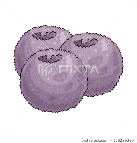 Illustration of sugar plum Illustration of sugar plum 136229380