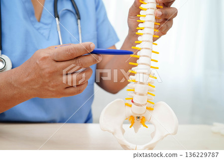 Asian doctor holding spinal nerve and bone model, Lumbar spine displaced herniated disc fragment for treatment medical in the orthopedic department. Asian doctor holding spinal nerve and bone model, Lumbar spine displaced herniated disc fragment for treatment medical in the orthopedic department. 136229787