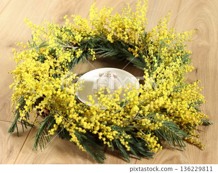 Mimosa and hamster from behind Mimosa and hamster from behind 136229811