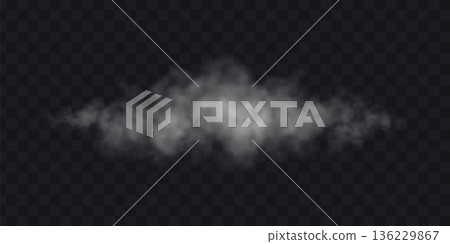 White mist cloud on transparent background. Fog realistic effect. 136229867