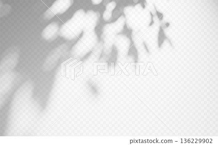 Shadow overlay tree branch on transparent background Shadow overlay tree branch on transparent background 136229902