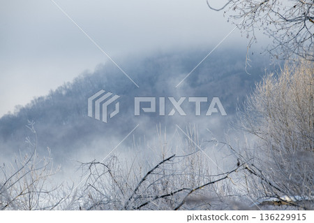 Fog wrapped in fog 136229915