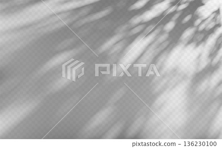 Abstract dappled light shadow overlay from tree foliage on a transparent background. 136230100