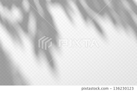 Soft shadow overlay abstract tree leaves on transparent background. Delicate shade from foliage on wall. 136230123