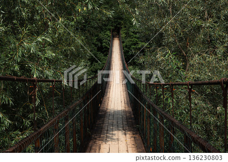 Suspension Bridge Leading Through Dense Green Forest 136230803