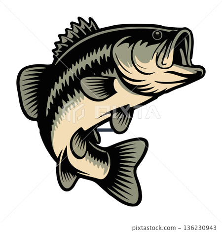 Leaping Large Mouth Bass Fish Graphic Illustration on White Background Leaping Large Mouth Bass Fish Graphic Illustration on White Background 136230943