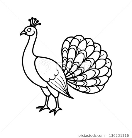 Elegant peacock outline illustration in black and white design style 136231316