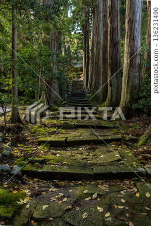 佐渡清水寺 佐渡清水寺 136231490