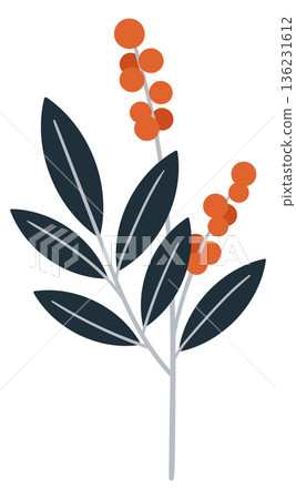 Floral element. Decorative natural botany. Herb doodle Floral element. Decorative natural botany. Herb doodle 136231612