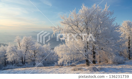 Snowy mountain scenery illuminated by the morning sun Snowy mountain scenery illuminated by the morning sun 136231739