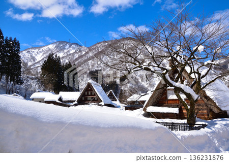 冬季,富山縣五箇山市,菅沼合掌村 冬季,富山縣五箇山市,菅沼合掌村 136231876
