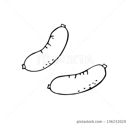 Hand drawn two sausages illustration in simple doodle style for food kitchen design Hand drawn two sausages illustration in simple doodle style for food kitchen design 136232029
