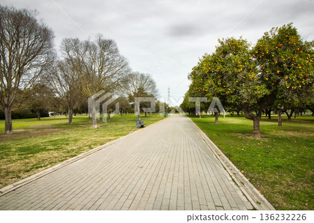 A long brick path running through a public park with trees and green grass on either side A long brick path running through a public park with trees and green grass on either side 136232226