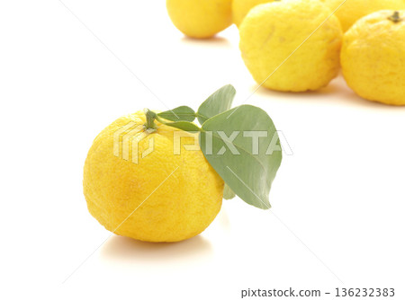 柚子 136232383