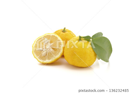 柚子 136232485