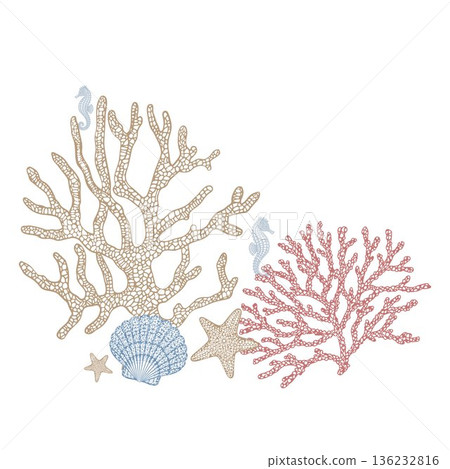 Trendy lace style marine coral illustration composition. Decorative hand drawn sea corals, shells, starfish and seahorses in elegant line art style. Modern coastal design perfect for banners Trendy lace style marine coral illustration composition. Decorative hand drawn sea corals, shells, starfish and seahorses in elegant line art style. Modern coastal design perfect for banners 136232816