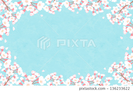 Cherry blossoms and light blue background frame Spring watercolor Cherry blossoms and light blue background frame Spring watercolor 136233622