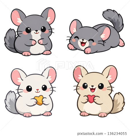 Cute cartoon chinchilla fluffy chinchilla kawaii animal adorable pet character with heart 136234055